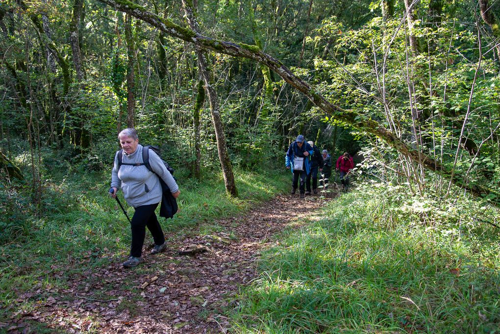 Photos de la joiurnée