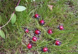 Pâques aux glaçons : costume de carnaval coccinelle