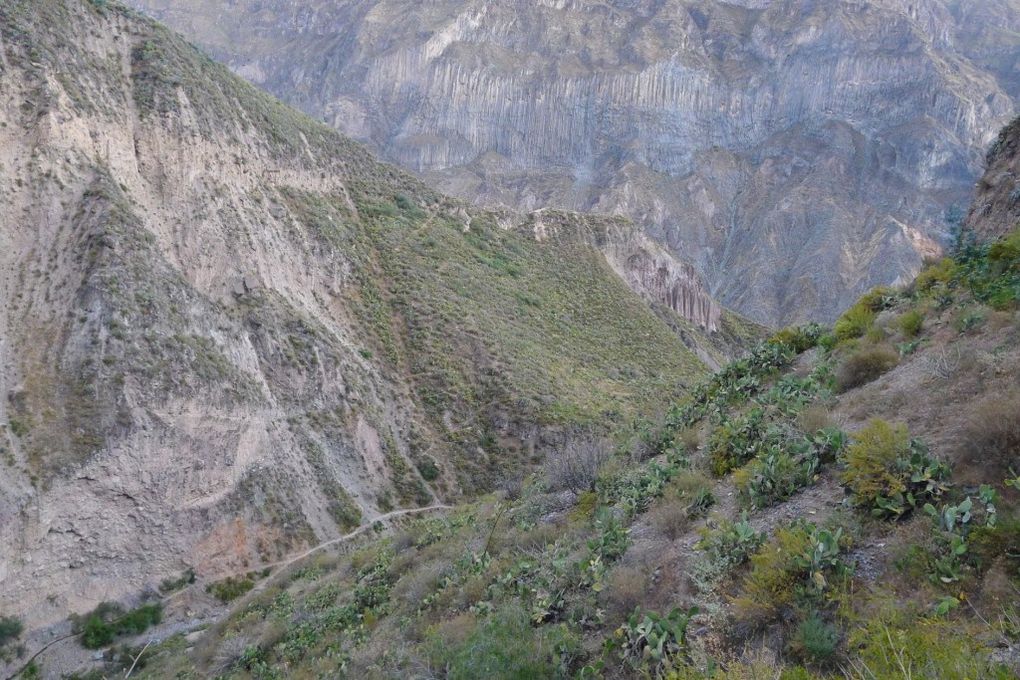 Album - Colca Canyon - 5 Juillet