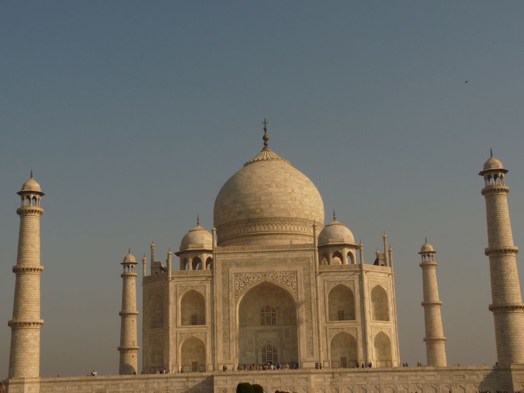 Album - AGRA-et-le-TAJ-MAHAL