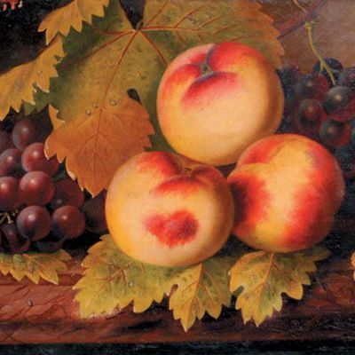Fruits d'été par les peintres - Cornelis van Spaendonck (1756-1839) Une nature morte aux fruits