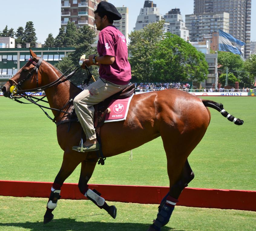 Le Polo est à l'Argentine ce le Basket est aux Américains.
Leurs équipes sont les meilleures du monde. Aussi je fus, par chance, spectateur du match où jouait la meilleure équipe du monde...