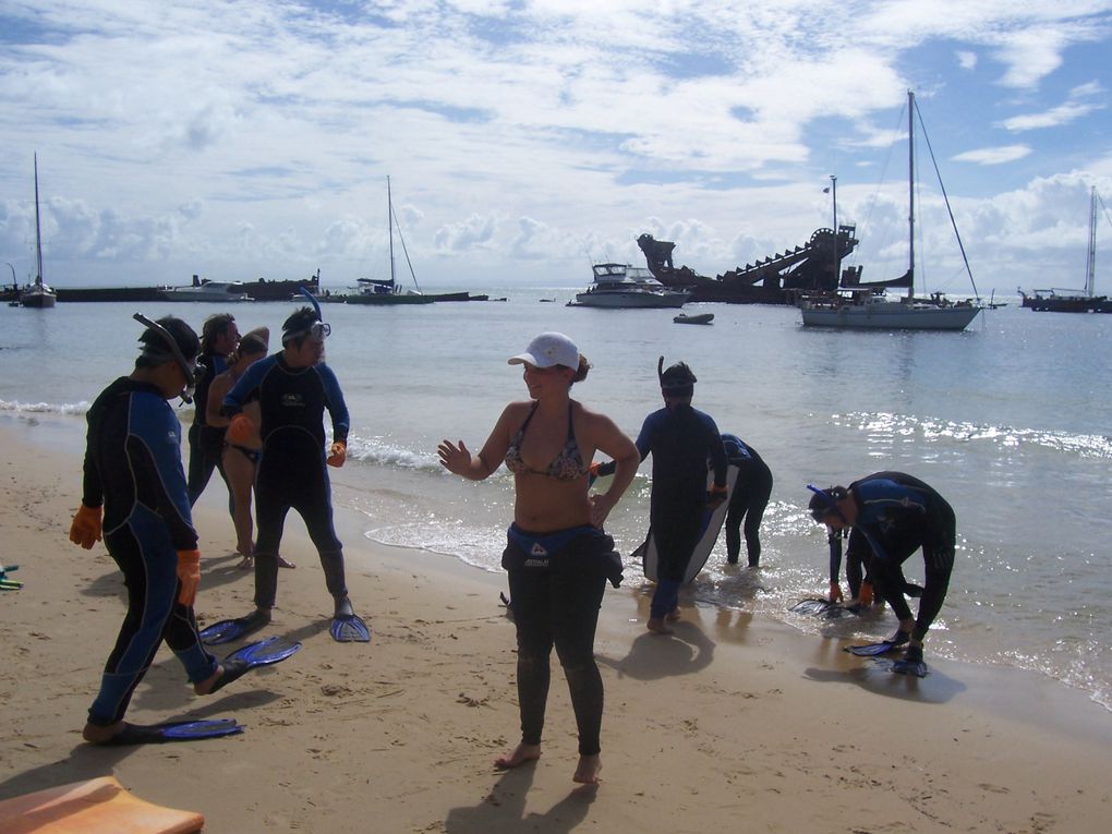 Mal wieder ein toller Urlaub, von Sydney, Brisbane, Fraser Island und last but not least Moreton Island!