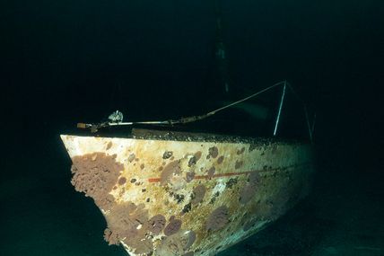 En janvier, plongée plutôt fraiche