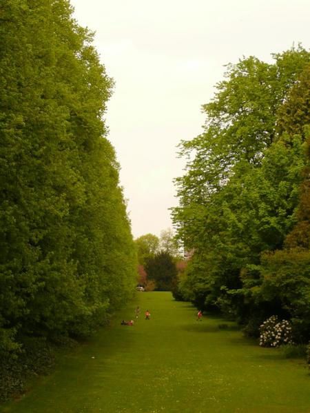 Une promenade en photo dans Münster, mon oasis allemand.