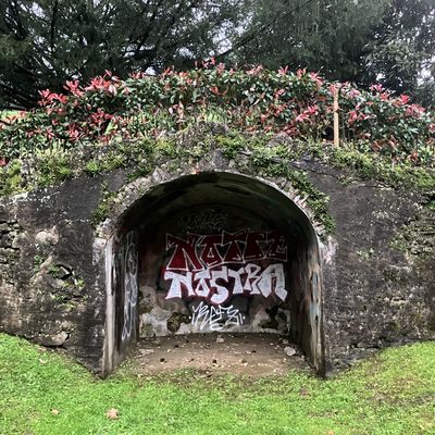L'interrogazione sul Parco del 20 maggio 2025