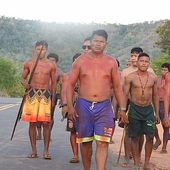 Indígenas Krikati do Maranhão criam "guarda florestal" contra madeireiros e criadores de gado