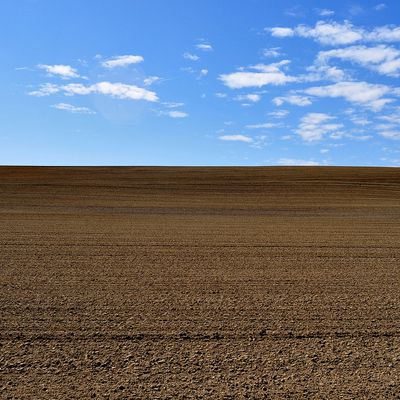 Sentiment de vide, de désert, et pourtant cette terre est bien fertile .