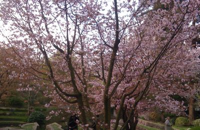 Jardin Albert Kahn : la suite des photos.