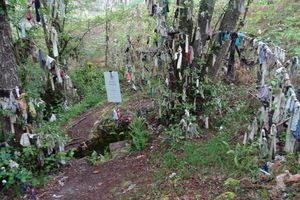 SORTIE Dans les  LANDES - ARMAGNAC