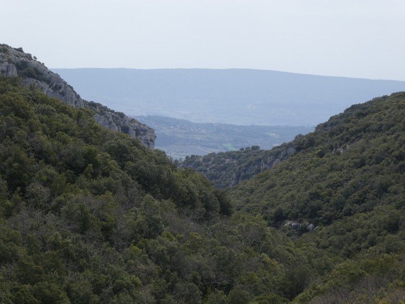 Lioux, La combe de Vaumale Le 13 04 2022 Animatrice Christine R