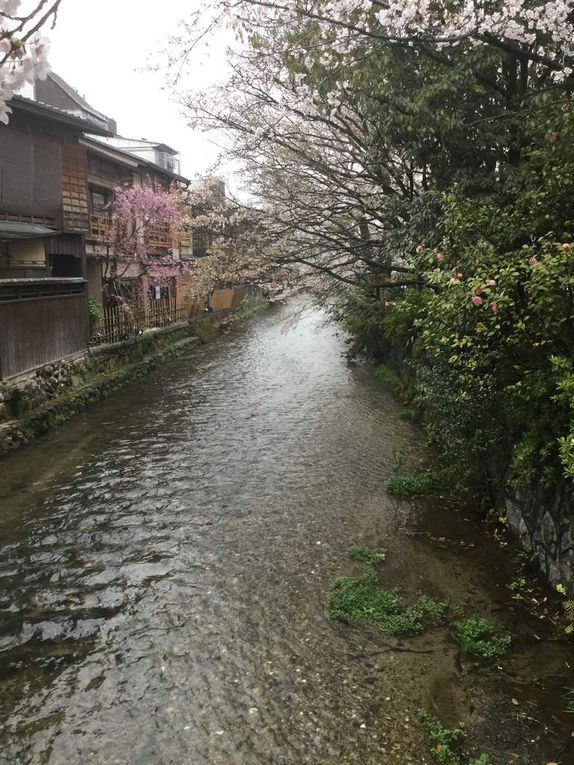 Quelques images du quartier de Gion