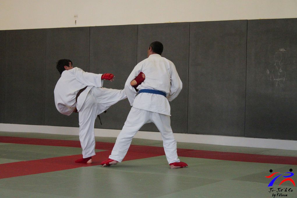 Jujitsu combat 06 2013 avec Sébastien Sanési organisé comme d'habitude par Ludo et Fred