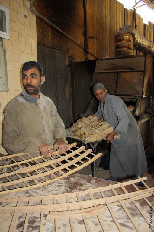 Portrait d'Égypte