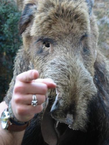 C I T A T I O N S Blog De L Homme Sanglier En Conscience