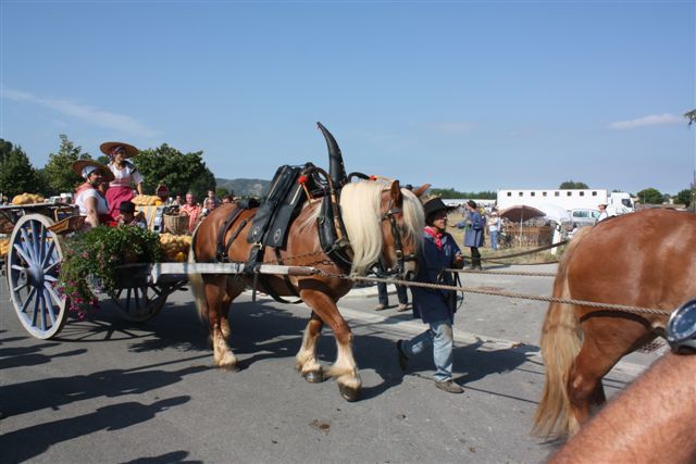 Album - fete-paysanne-et-traction-animale-2009