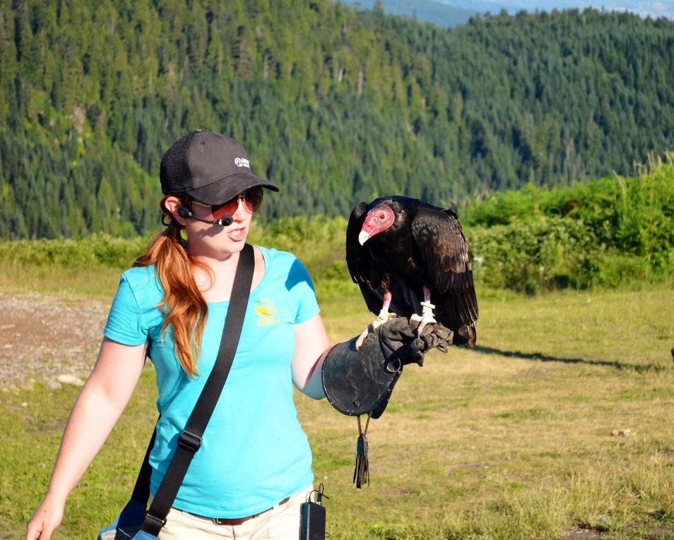 Grouse Mountain, North Vancouver