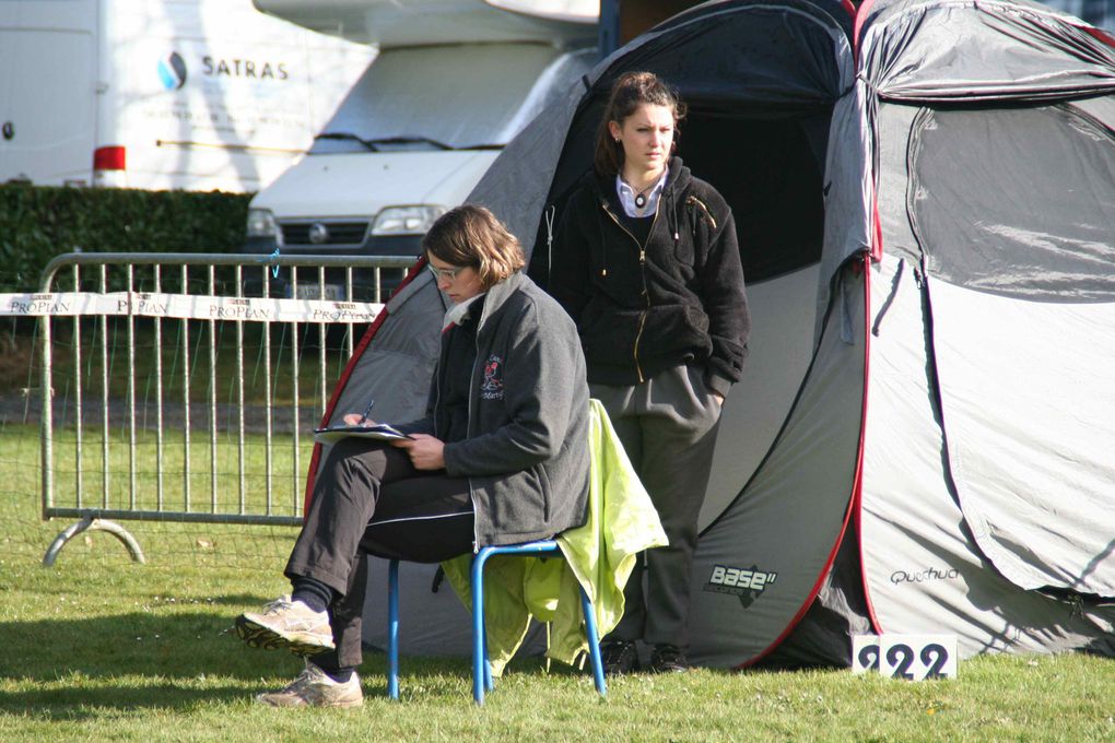 Album - 12-Concours-Agility-La-Martyre-10-03-2013-2