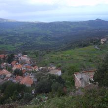 LES STATUTS DU COMITE DE VILLAGE TANSA TIFERA