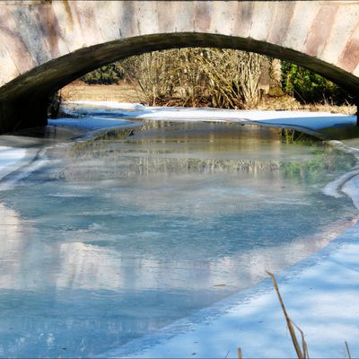 Les mille étangs en hiver