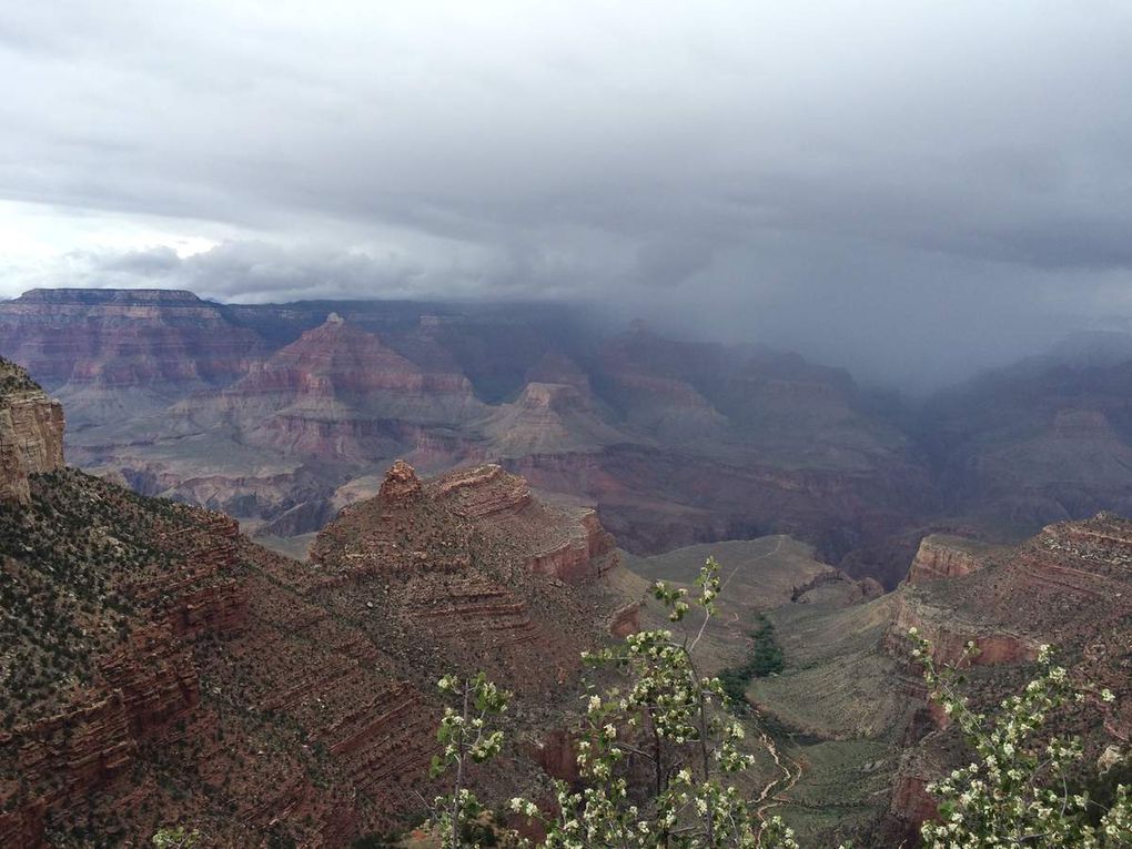 États-Unis ~ Journée au Grand Canyon