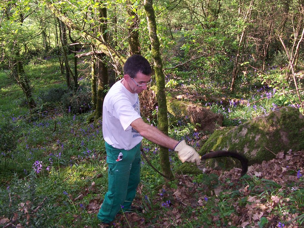 Album - debroussaillage1