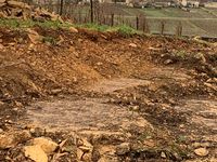 Un bel écrin pour notre Meursault Tessons 