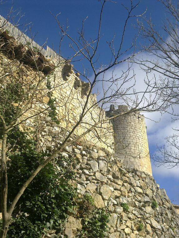 Promenade à Villerouge le 8/01/12