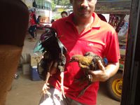 Sur la route des 4000 iles, une nuit a Don Khong (ferry) puis 3 nuits a Don Det (acces par long tail boatphoto avec Jodie, 1er voyage de 1hrs 30 sur le Mekong)