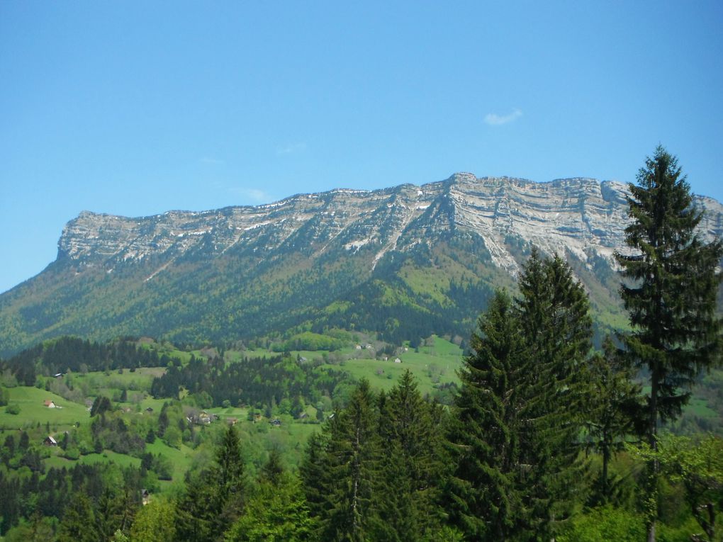 Album - St Pierre d'Entremont printemps