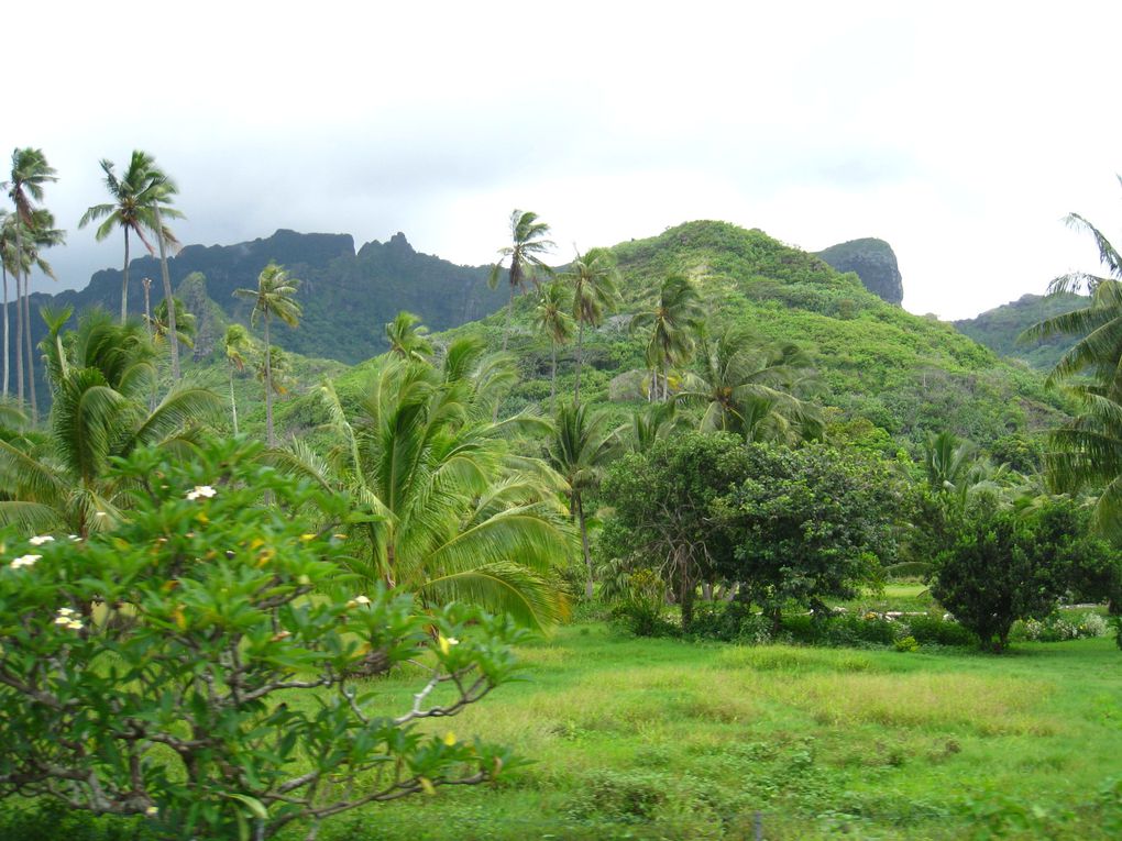 Album - J-116-Tahiti-et-Moorea