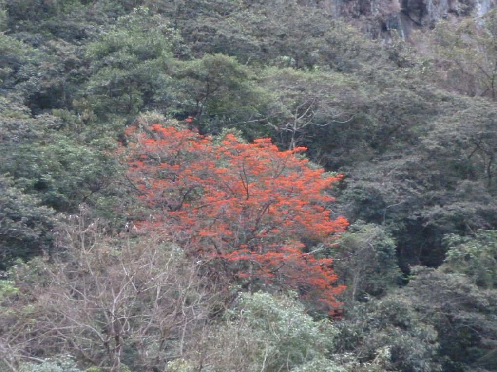 Album - Machu-Picchu-et-la-vallee-sacree-des-incas