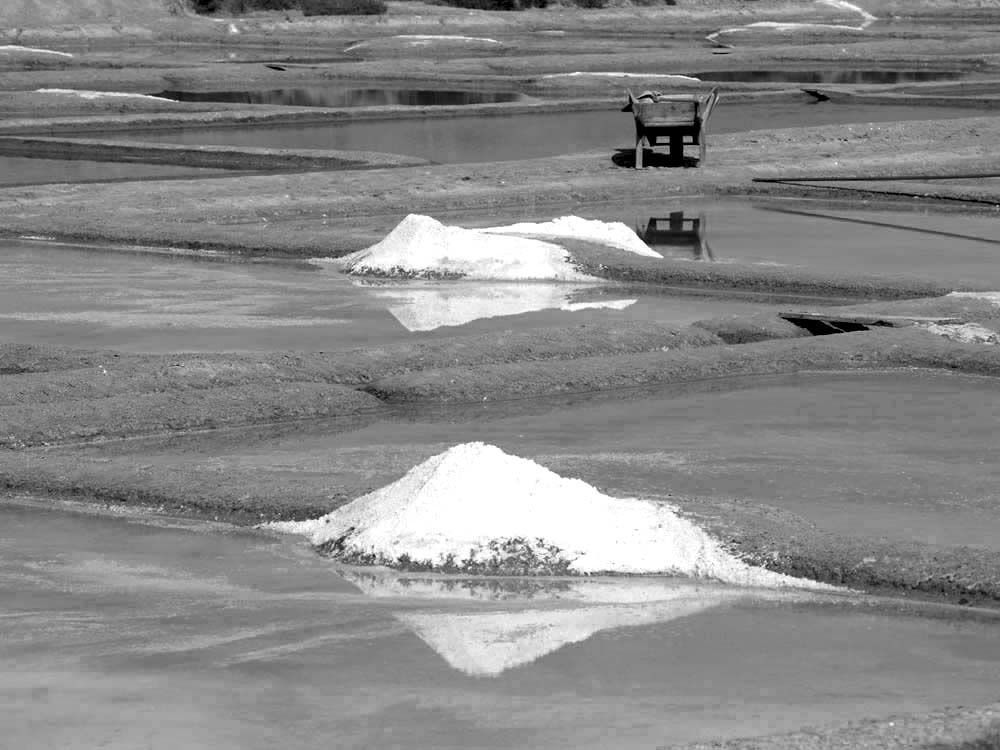 Album - Les Marais-salants de Guerande en noir et blanc