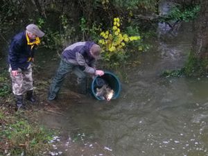 Le Pêcheur Barbezilien donne un coup de pouce au milieu aquatique !