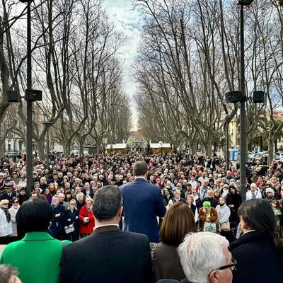  La mairie RN de Perpignan : une féroce compétition pour briller en interne! par le comportementaliste Robert Dainar