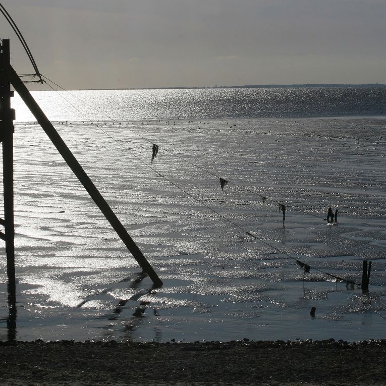 Album - Les Carrelets