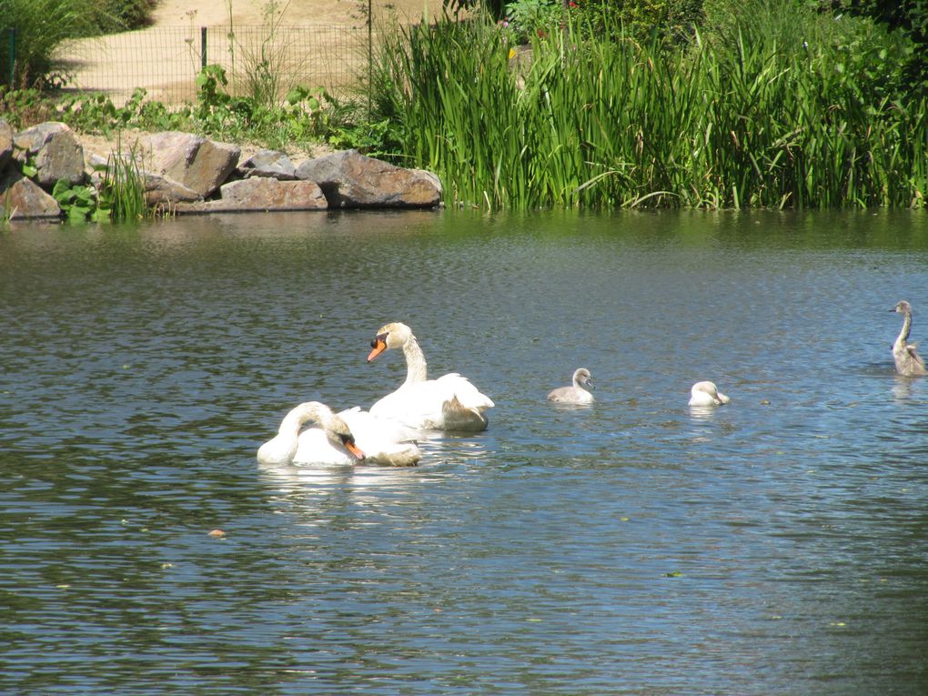 Album - Sortie-des-maternelles-au-Jardin-des-Olfacties