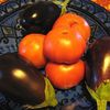 Aubergines à la tomate et à la Féta.