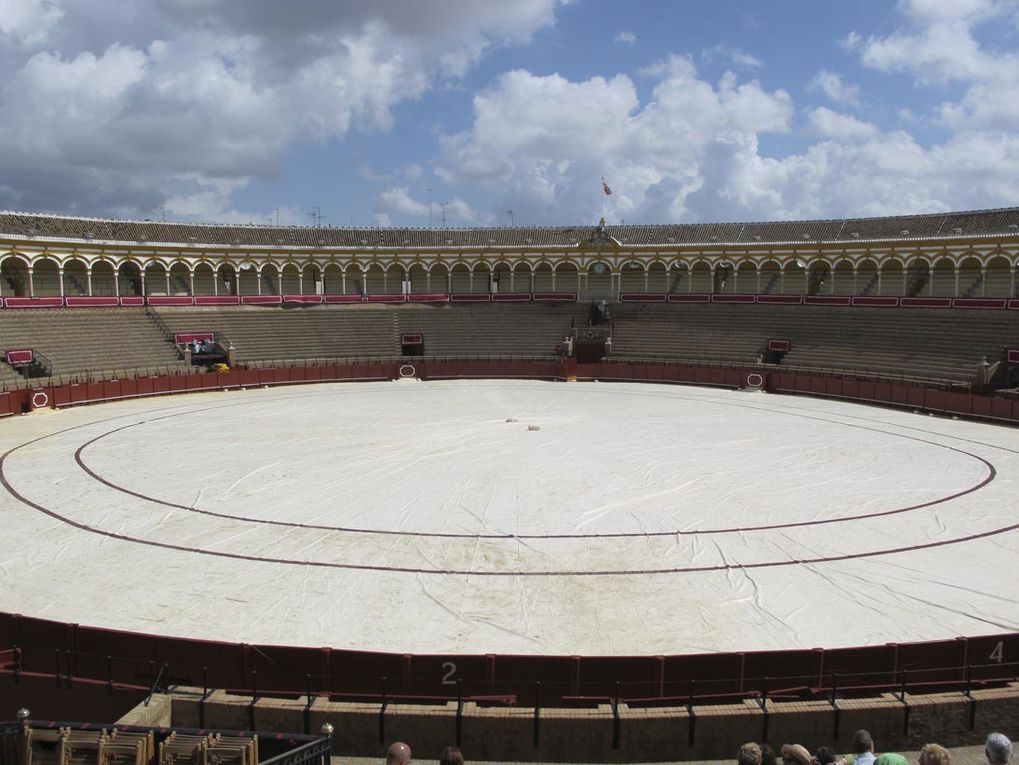 Ocre du sable et rouge sang....arènes construites en 1761. Bâtiment de style baroque tardif.18.000 spectateurs. Pendant une corrida 6 taureaux sont mis à mort par 3 matadors...