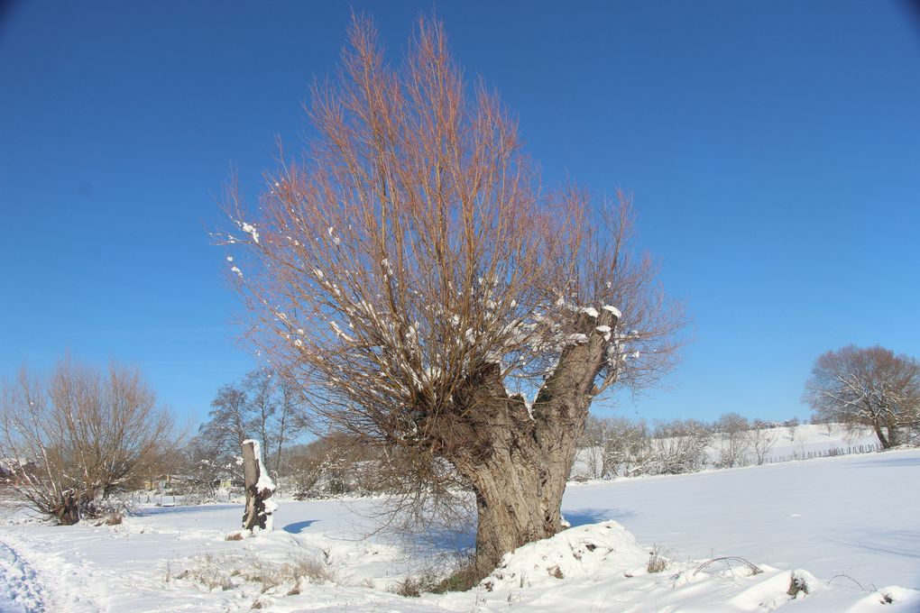 Neige, neige blanche..