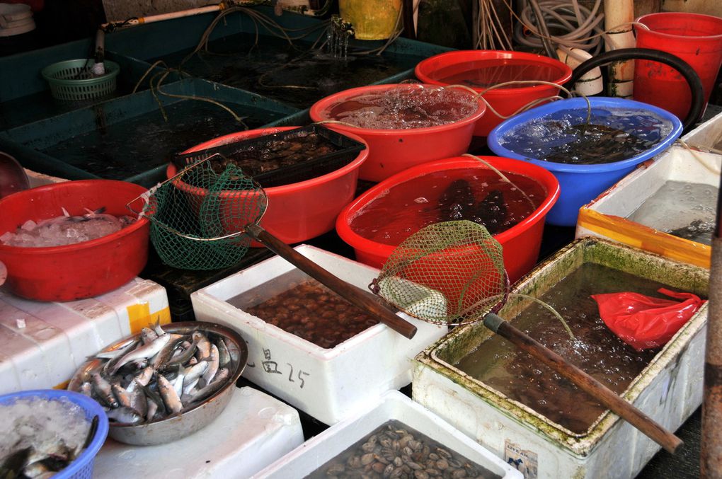 Le village de pêcheurs de Tai O