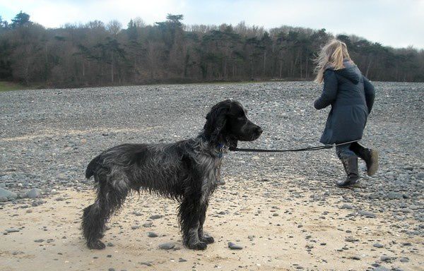 Decouverte de la plage.