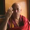 Entretiens de Matthieu Ricard sur la pratique du bouddhisme ainsi que ses relations avec notre monde occidental et la science.