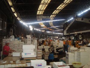 Jour 8 : Marché au poisson de Tsukiji et Sony Building à Ginza (et un peu d'Akihabara)