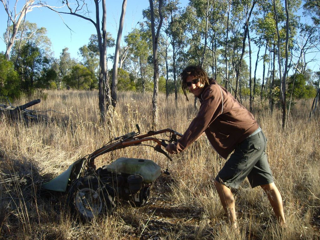 Album - WWOOF-outback