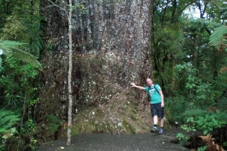 Album - 06 - Far-North NZ---Cape-Reinga-und-zurueck