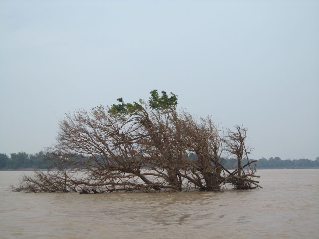 Album - Cambodge - partie 1