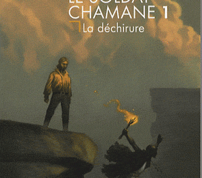 Le soldat chamane, T.1 - Robin Hobb