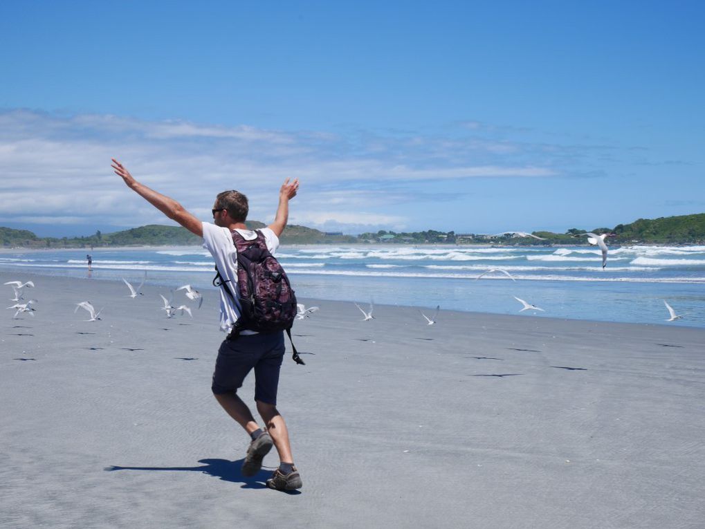 Westport : Cape Foulwind, Tauranga Bay, réveillon sur Carter's beach, certif Self-contained