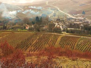 Balade dans la côte de Beaune